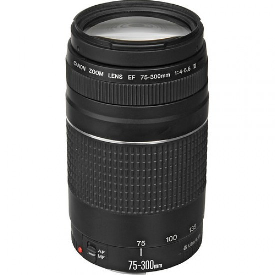 Canon EF 75-300mm f/4-5.6 III USM EF-Mount Lens/Full-Frame Format Lens - Image 2